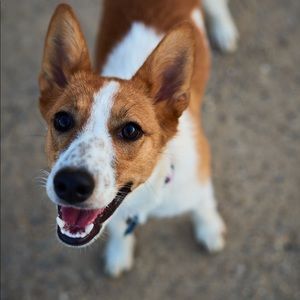 Meet your Posher, Demelza